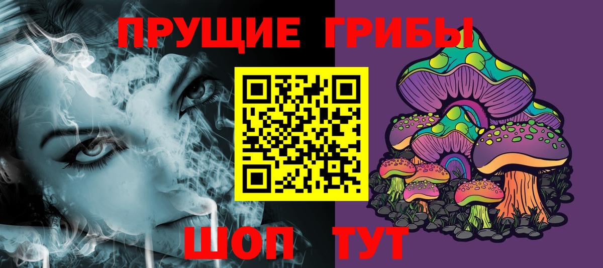 Ипатово  Псилоцибиновые грибы Psilocybine cubensis  Вход с VPN 